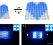 “25% 늘려도 이미지왜곡 無” KAIST, 스트레처블 디스플레이 개발