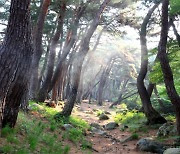 주말 비온 뒤 날 선선해지면 국립공원 걸어볼까