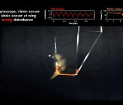 “잠자리 날갯짓 완벽 모사” 자율비행 ‘드론’ 뜬다