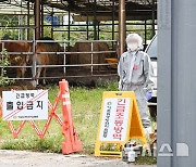 충주 한우농장 럼피스킨 발생…올해 들어 5번째 확진