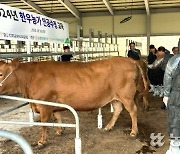 충북 보은옥천영동축협, 한우 인공수정 기술교육