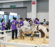 '말산업관 7천명 찾았다.. 인기 폭발' 한국마사회, 농업박람회 최우수상 영예