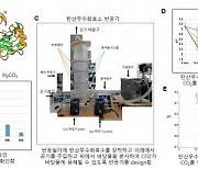 포스텍 연구팀, 지구온난화 주범 ‘이산화탄소’ 바닷물에 녹이는 효소 개발