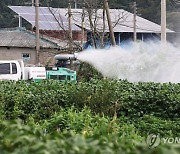 경북도,  문경지역 소에 백신 긴급접종…인접 충주 럼피스킨 발생