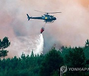 PORTUGAL FOREST FIRE