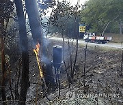 Portugal Wildfires