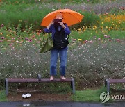 전국 흐리고 비…더위 한풀 꺾여