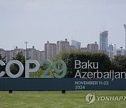 COP29 Climate Summit