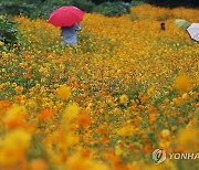 폭염 몰아내는 가을비