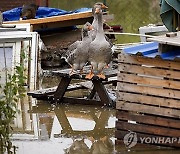 AP Pictures of the Week Photo Gallery