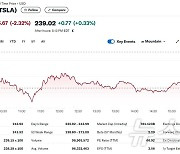 빅컷 호재 소진, 테슬라 2.32% 급락