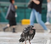 전국 호우특보 모두 해제…폭우로 900명 대피·열차 지연