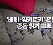 [영상] '삐삐·워키토키' 폭탄...중동 위기 고조