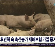 기후변화 속 축산농가 재해보험 가입 증가