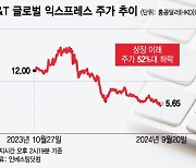 일 년도 안 돼 시총 9조 증발…주가 63% '뚝' 동남아 유니콘의 추락