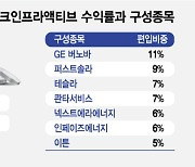 "해리스 당선되면 더 뛴다"…'이 종목들' 넣었더니 올해 수익률 38%