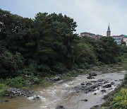 '한라산 폭우 영향, 빗물 흐르는 제주 한천'