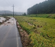 대전·세종·충남 집중호우로 최대 270.5㎜…소방출동 300건