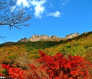 ‘단풍명소’ 내장산, 서래봉 구간 탐방로 예약제 시행