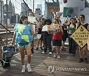 Climate Protests