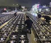 Hong Kong Drone Show