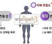 들쑥날쑥 혈당·혈압, 치매 위험 높인다