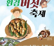 능이·송이·싸리 자연산 버섯 한가득…괴산 청천환경버섯축제 27~29일