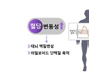 "혈당·혈압 관리가 치매 예방법"…혈당·혈압 변동이 인지기능 떨어뜨려