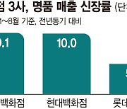 내수 얼어붙어도 명품소비 늘었다 [불황 속 명암]