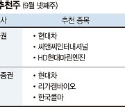 '주주환원' 현대차 '호실적' 화장품株 주목 [株슐랭 가이드]