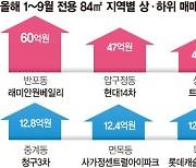 같은 국평인데 50억差… 서울 아파트값 빈부격차 더 커졌다