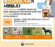 충북도 “맹견 키우려면 도지사 허가 받아야”