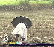 한라산 700mm↑ '물폭탄'...열대야·폭염  해제