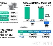 [단독]저축은행 이어 캐피탈사도 퇴출 위기..2금융권 '칼바람'