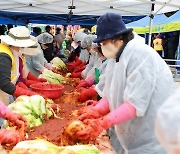 '김치소비 반토막'…작목 전환·판로 확대로 배추 수급 조절