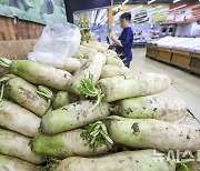 다가오는 김장철, 배추·무 가격 고공행진