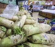 다가오는 김장철, 배추·무 가격 고공행진