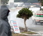 제주도, AI 차단에 '총력전'…정밀검사·검사주기 단축한다