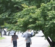 [오늘날씨] 오늘 '추분'…대부분 비 그치고 남부·제주 매우 강한 바람