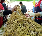 '홍천 인삼·한우 명품축제' 내달 3일 개최…건강·맛 향연