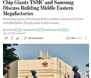 삼성전자-TSMC, UAE에 133조 반도체공장 건설 추진(상보)