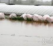 "논산 엘리베이터 침수 사망, 재난문자 있었다면 예방 가능했다"