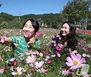 가을을 담다