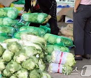 배춧값 인상에 '김치 대란' 오나…포장김치 품절에 배송 지연까지