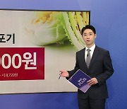 추석 후 여전히 배추 가격↑...'금배추'의 계절은 언제까지? [앵커리포트]