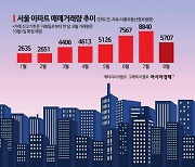 다시 관망세 vs 단기 영향…서울 아파트 매수세 향방은