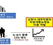 금융당국, ‘증선위 집중심리제’ 활성화한다