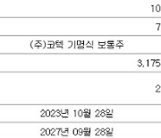 아이디스홀딩스, 'CB 활용' 코텍 지분확대