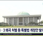 4.3 왜곡 처벌 등 특별법 개정안  발의