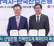 부산시·산업은행, 전력반도체 특화단지 육성